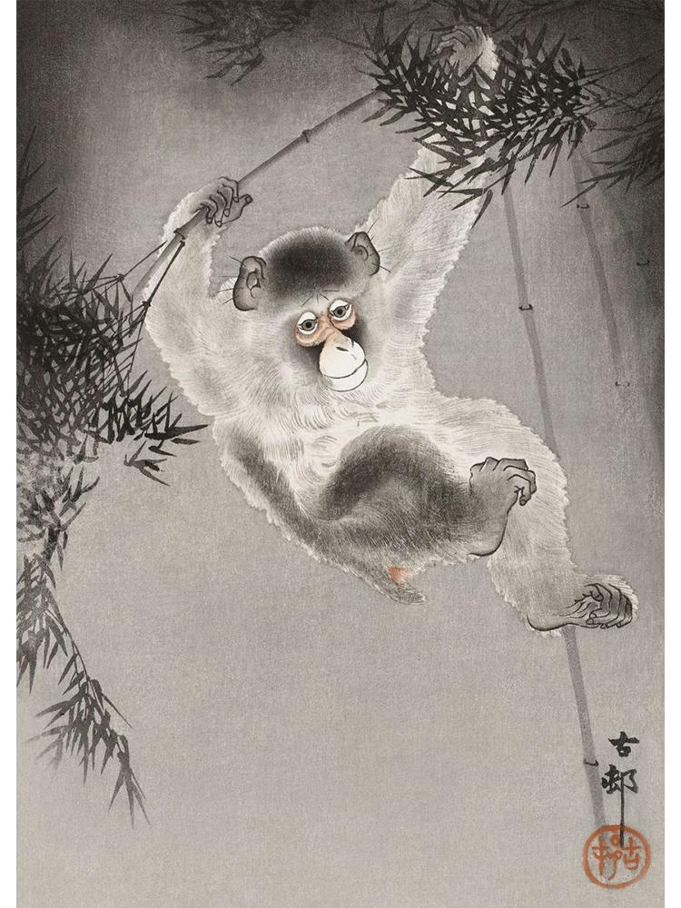 Japan Artist Ohara Koson Classic Artwork Poster Canvas Painting Monkey Goose Flower Birds Wall Art For Living Room Home Decor