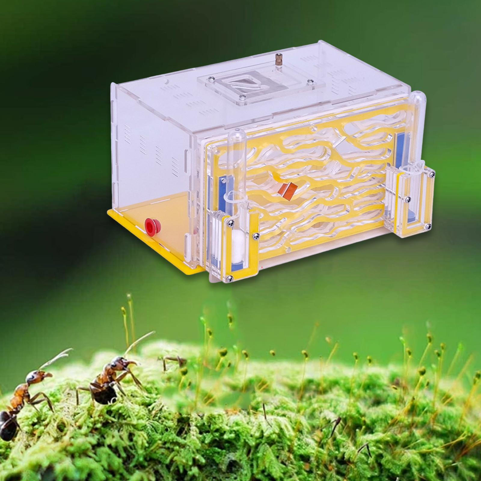 

Домик Nest Farm Среда обитания Инкубатор для разведения на День рождения Дом День защиты детей жёлтый