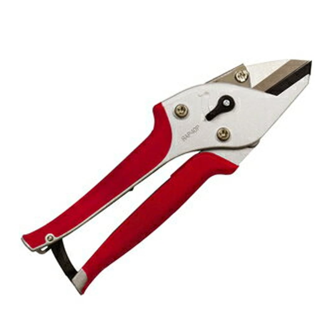 

Tamadori Sangyo Easy Pruning Roses TS205 ярко-розовый