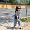 Girls' Denim Overalls with Gray Vest - Clearance, No Returns/Exchanges