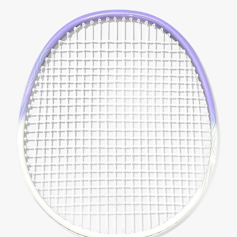 Deze Integrated Badminton Racket