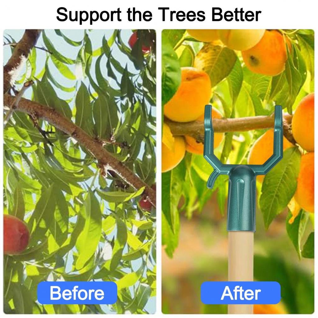 Branch Crutches Fruit Tree Support Tree Support Device