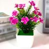 Allergy Mini Simulation Blossom Bonsai Artificial Plant for Home Office