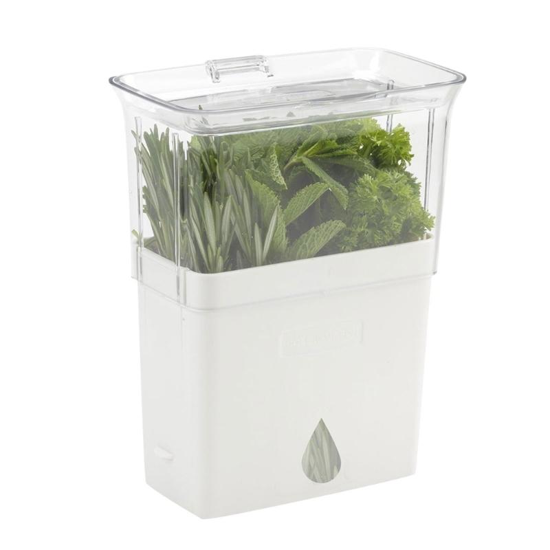 Clear View Vegetable and Herb Storage Container Maintains Crispness for Kitchen Organization and Picnics Essential