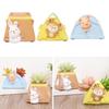 Resin Animals Pot Container er Bonsai Pots
