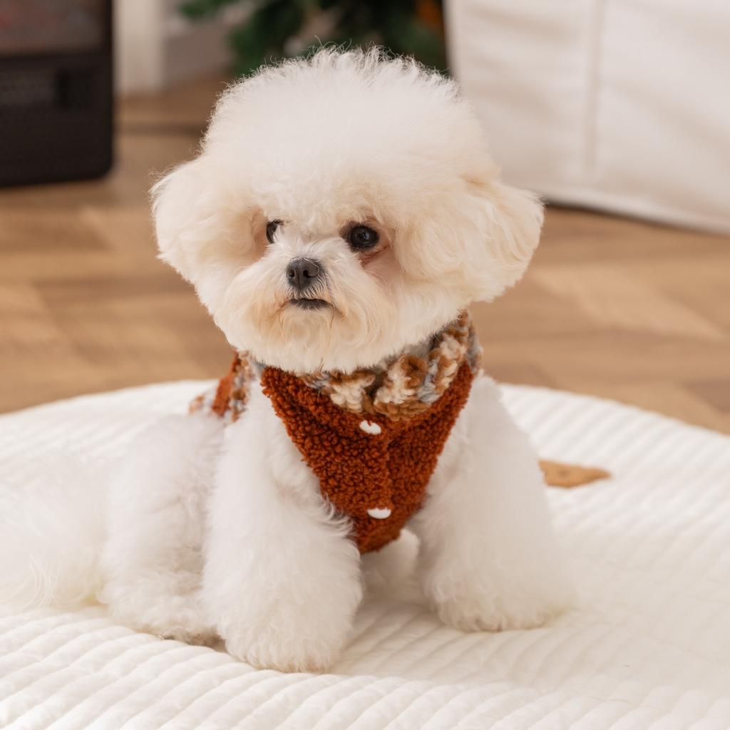 Pet Clothes Thickened In Autumn and Winter Can Lead Small Dogs To Keep Warm Dog Clothes