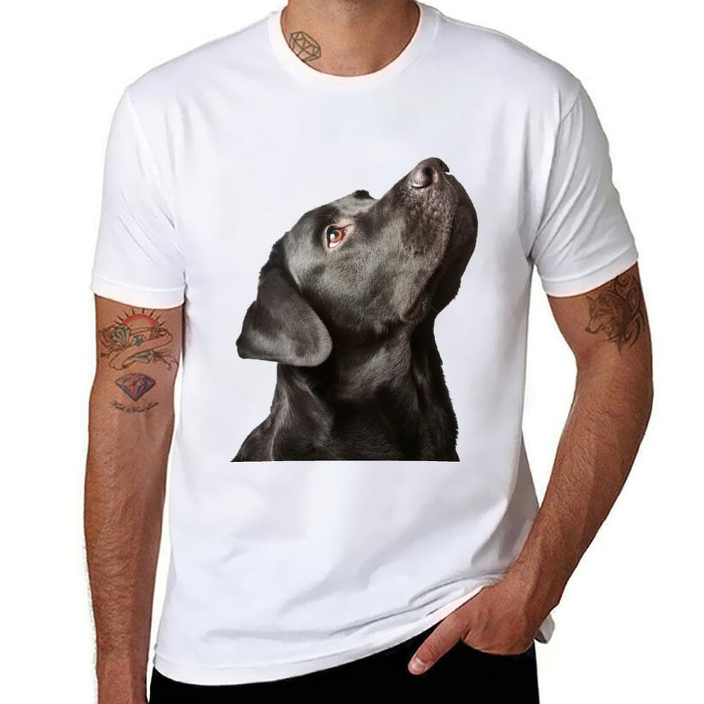 WE BUILD LABRADOR TShirt Regular Fit Plain Tee Shirt