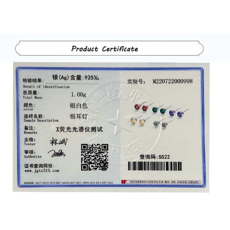 Classic Colored Round Full Diamond Stud Earring For WomenTopaz Ruby Amethyst Emerald Original Sterling Silver Gift Part Jewelry