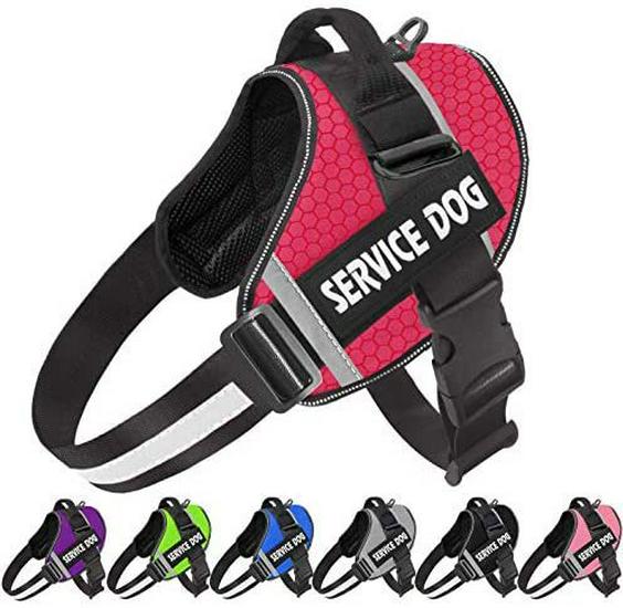 Reflective Pet Harness & Leash - Comfortable Vest-Style Design