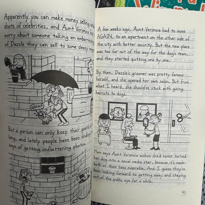 3 Bücher/Set 17-19 Gregs Tagebuch Englische Bücher Kinder-Fiktionsbücher Manga-Romanbücher Auf Englisch Manga