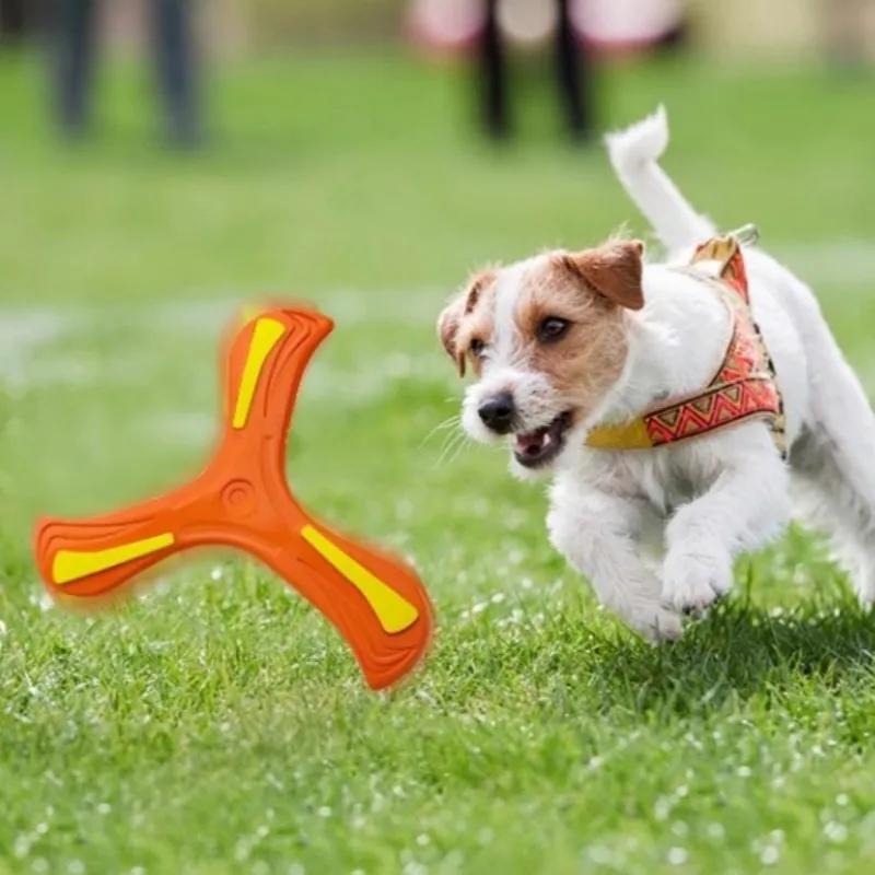 1-20 ADET Köpek Evcil Hayvan Disk Oyuncakları Açık Hava Üçgen Bumerang Oyuncakları Uçan Disk Aile Evcil Hayvanı İnteraktif Eğlence Spor Oyunları
