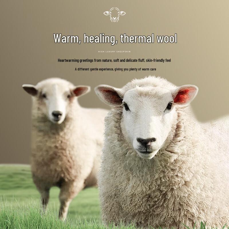 Men's 100% Wool Hooded Shearling Vest