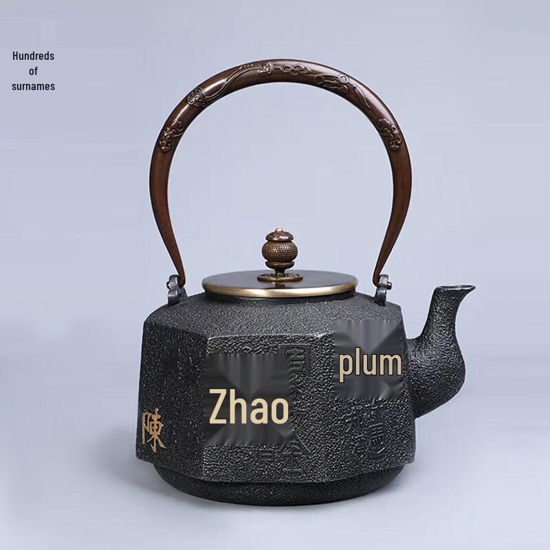 Bai Cheng Dao Surnames Series Cast Iron Teapot