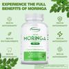 Xemenry Moringa Powder Capsules support energy, skin, and gut health. Suitable for adults, vegan.