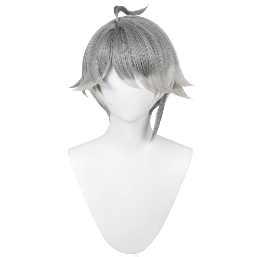 Alheizen Cosplay Costume Accessory for and Includes Wig Net Wig, Heat-Resistant, Halloween, Christmas, Parties,