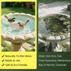 Bird Bath Purification Disk Copper Cleaning Disk Feeder Accessories Triple-Point Support Purifier Plate For Fountain