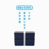 Miyoshi Seisakusho GEL-COOL Lunch Box with Integrated Ice Pack, Fit Series, Slim, S+L, Berry BL, 0101-0179