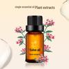 Jieyou Princess Thyme Essential Oil