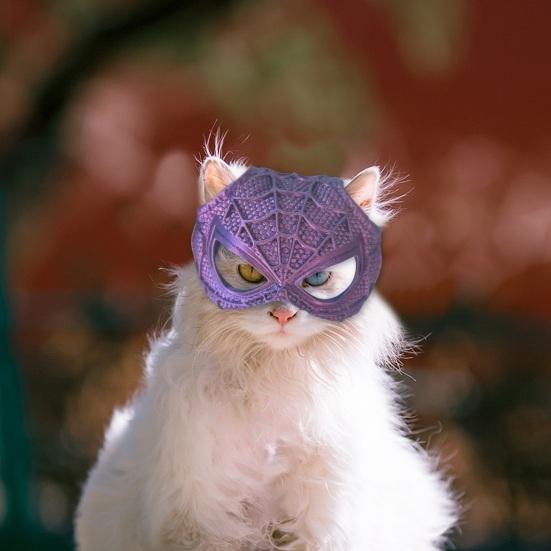 Bat Cat Avenger Face Cushion Halloween Cat Bat Cosplay Hat 3D Printed Cat Dress-up Prop Pet Costume Accessory for Parties
