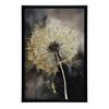 Goldene Pusteblume Goldene Pusteblume, 40X50 cm, Goldener Aluminiumrahmen, Mattes Papier 230 g/m²