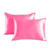 2pcs Soft Smooth Solid Color Double Sided Design Pillowcase With Hidden Zipper