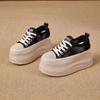 Summer Lace Breathable Thick-soled Muffin Shoes Women's Hollow Mesh Thick-soled, Small White Shoes Casual Lace-up Small