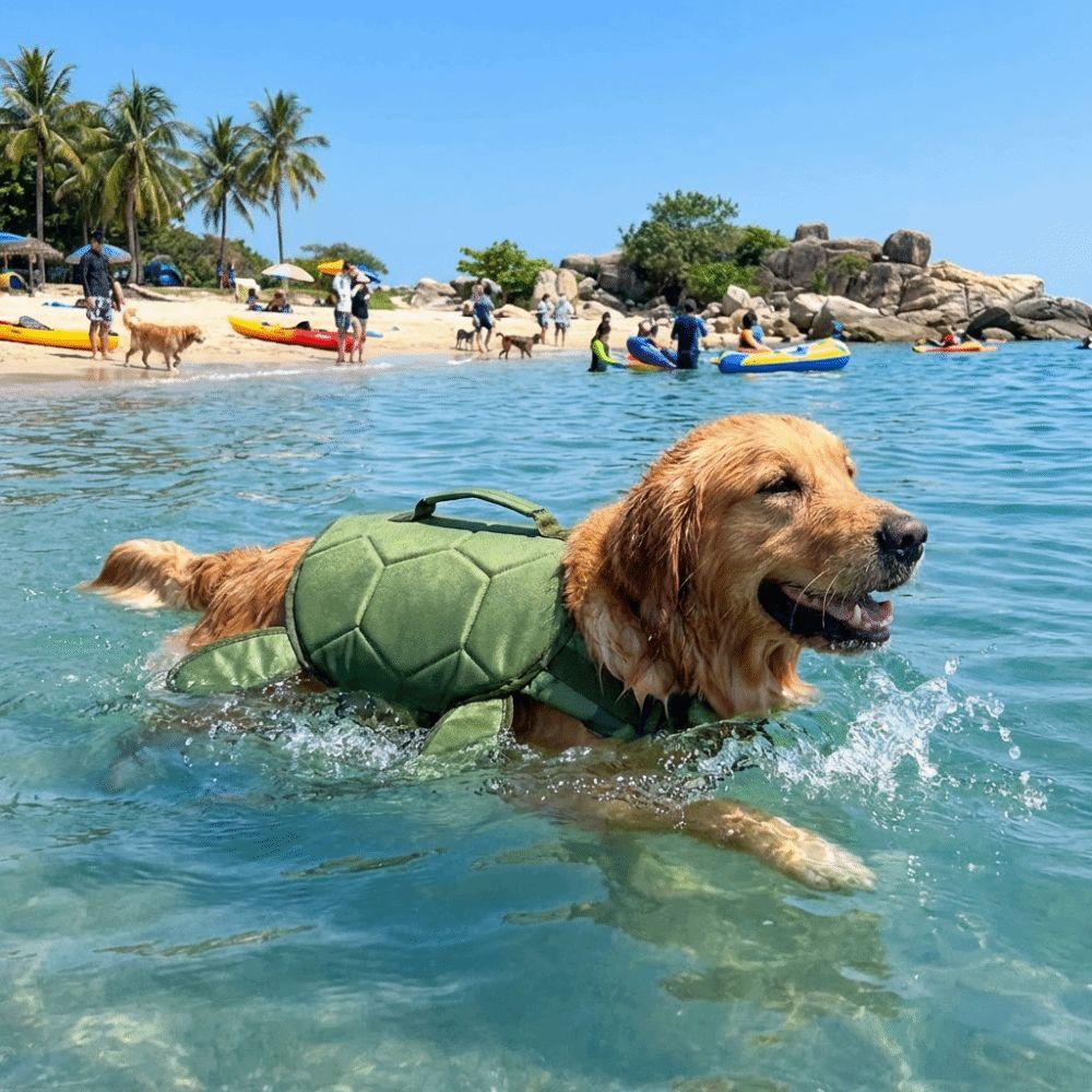 Costume da Bagno per Cani a Forma di Tartaruga Maniglia Portatile Abbigliamento da Surf per Cani Attività Acquatiche