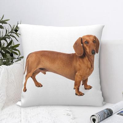 Fundas de Almohada de Perro Salchicha Regalo para Amante de Animales Perros Fundas de Cojín Impresionante Funda de Almohada Decorativa de Poliéster para el Hogar 18x18