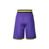 Nike Basketball Shorts Men's Purple AV3537-504