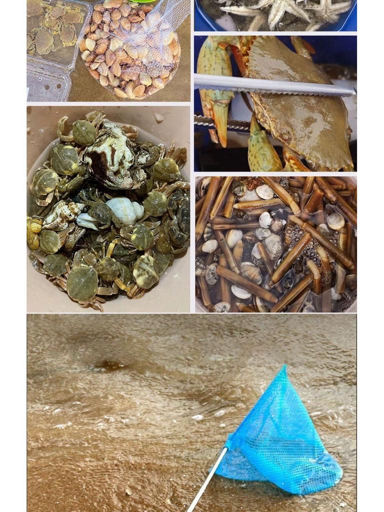 Tide-Chasing Beach Tool Set: Kids' Clam Diggers & Crab Catching Gear