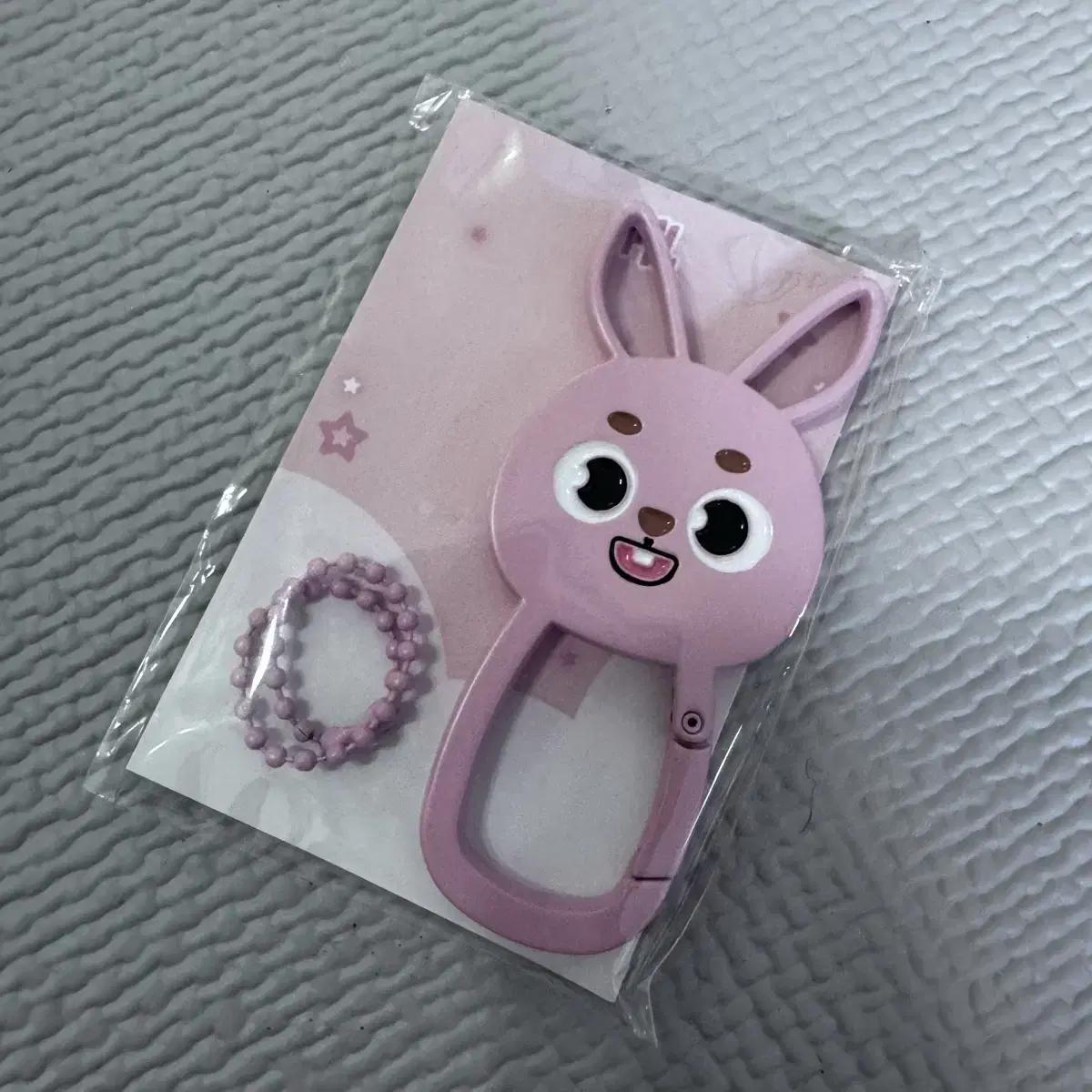 

Day6 Gogycon Md Carabiner