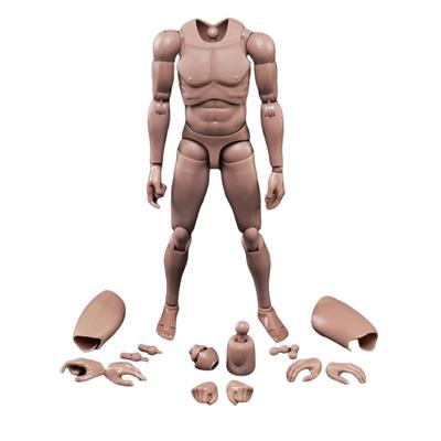 Männlicher Körper Muskulöser männlicher Körper Passt zu Kopfskulptur 12-Zoll-Figur, Modell, 1/6 (M)