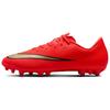 Mercurial Vapor 17 Soccer Shoes Unisex Low Top Bright Dark Red/Misty Gold IM5847-600