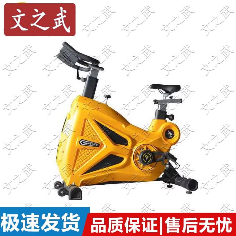 WenZhiWu Fitness Spinning Bike