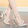 Fashion Fashion Open Toe Thick High Heels Ladies Summer Shoes For Dress Women High Heel Sandals 2024 New Female Platform Sandals