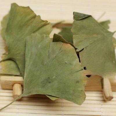 Bio-Ginkgo-Biloba-Blätter-Tee, chinesischer loser Blatt-Ginkgo-Tee, Kräuter-Grüntee