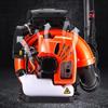 Longlida EBV260 High-Power Gasoline Blower CN plug (adapter included)