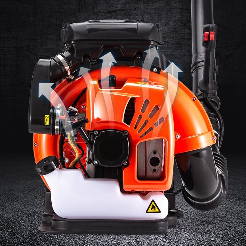 Longlida EBV260 High-Power Gasoline Blower CN plug (adapter included)