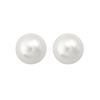 Korean fever Australian white pearl stud earrings S sterling silver female Shijia high-end light luxury round retro ears