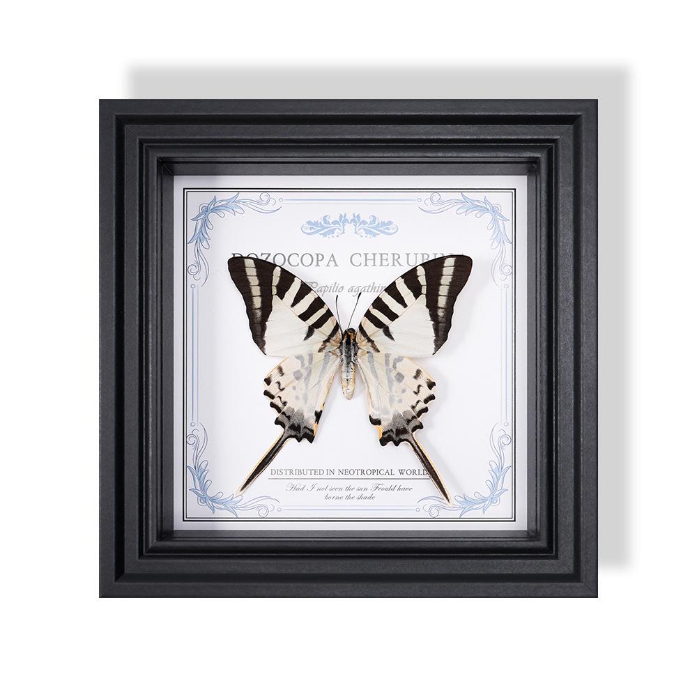 Wall-Mounted Butterfly Specimen Photo Frame: Home Decor & Gift for Valentine's Day, Qixi, Birthday, Couples & Insect Lovers