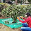 Waterproof Trimming Shrubs Leaves Catcher 1m 3.28ft Shrub Base Mulch Mat  Outdoor Use