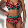 Women's Tropical Leopard Print V-Neck & High Waist Two-Piece Bikini Swimsuit