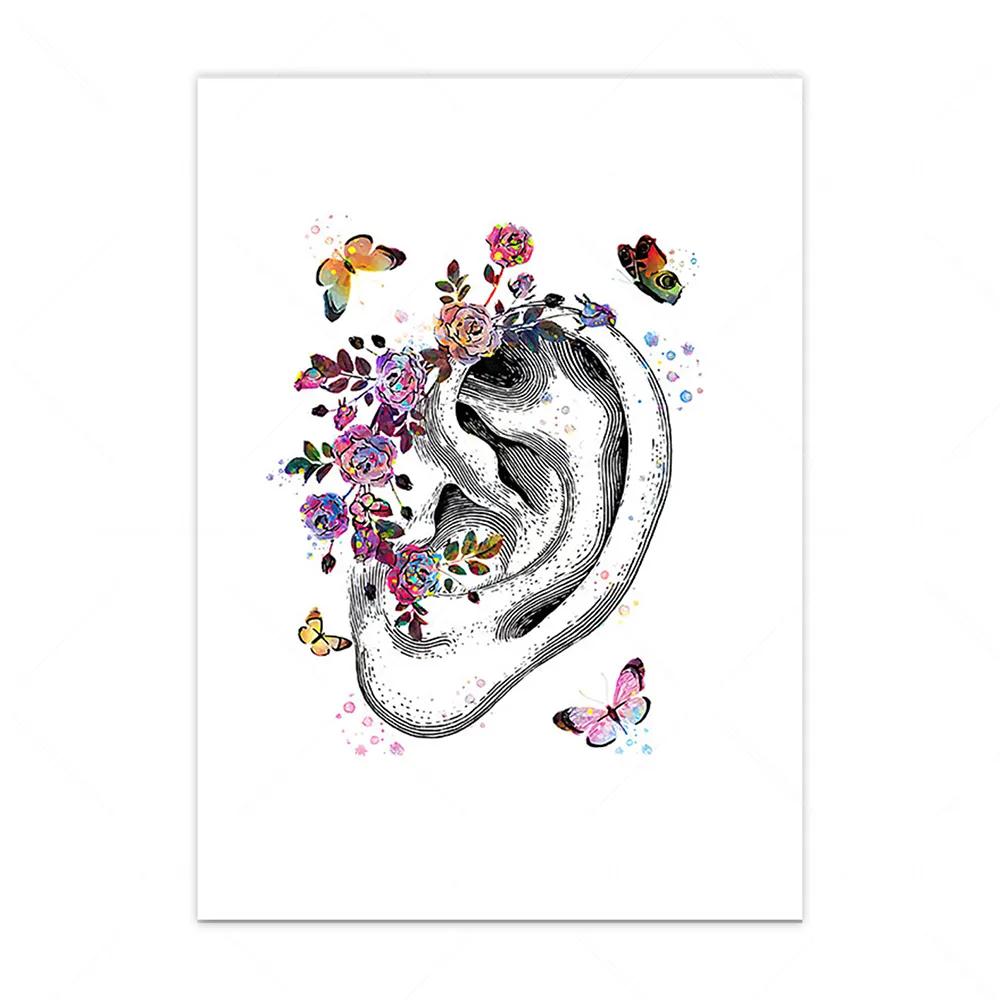 

Анатомическое внутреннее ухо, аудиология, улитка, настенная живопись на холсте, плакаты на скандинавскую тему и принты, настенные панно для декора медицинской клиники 21x30cm No Framed