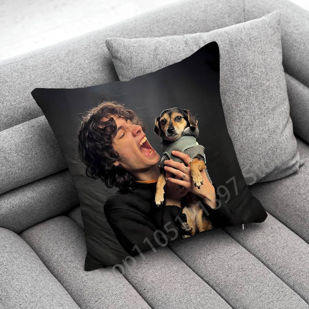 S-Sombr Back to Friends I Barely Know Her Throw Pillow Case For 30cm 40cm 45cm 50cm 55cm Square Sofa Pillowcase Shell