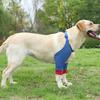Dog Protector Front Chest Webbing Adjust Buckle Fixed Ring Comfortable Breathable After Injury Tool