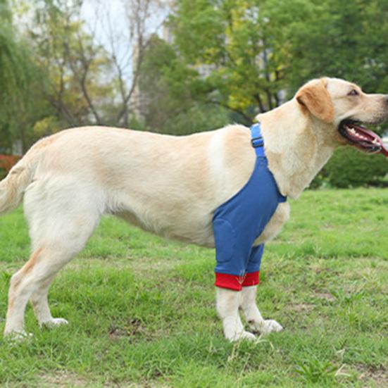 Dog Protector Front Chest Webbing Adjust Buckle Fixed Ring Comfortable Breathable After Injury Tool