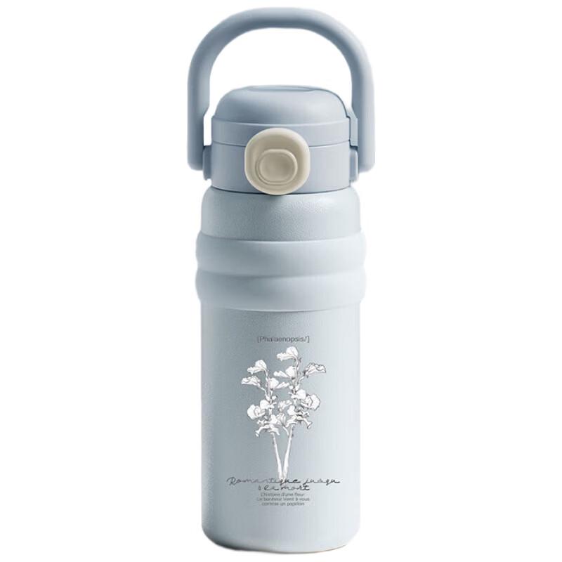 Wushengwu Yinyue 550ML 316L Stainless Steel Insulated Straw Mug