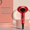 LISM Professional High-Power Negative Ion Hair Dryer