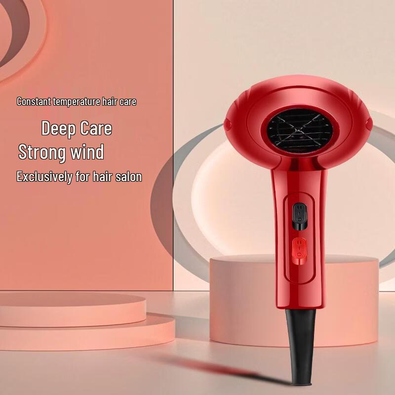 LISM Professional High-Power Negative Ion Hair Dryer