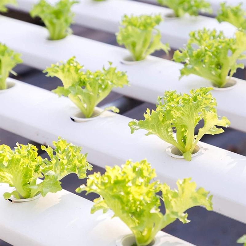 20/50Pcs Hydroponic Soils Planter Grow Baskets Soilless Seed Grow Nursery Pot Starter Hydroponic Soils Seedling Tray Pods Kits